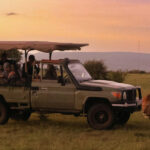 What to Expect on Your First Kenya Safari